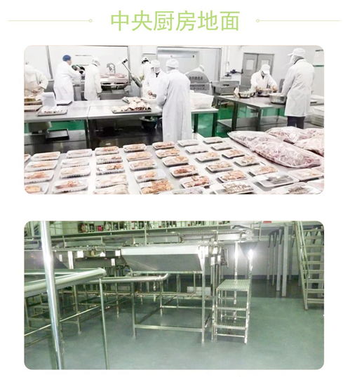 食品车间聚氨酯地坪与新型膜材料 专业施工与销售综合解决方案