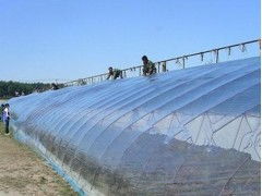 山东灌浆膜市场价格趋势与海南优质厂家鲁光塑料制品分析